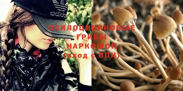 а пвп мука Алзамай