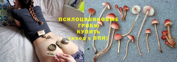 а пвп мука Алзамай