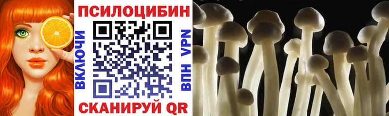 Псилоцибиновые грибы Psilocybe  Артёмовск 